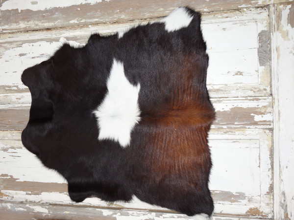 Pravá kůže z teletiny L (1)