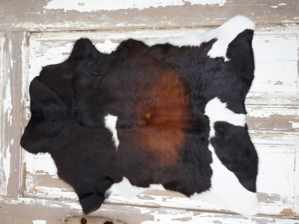 Pravá kůže z teletiny (1)