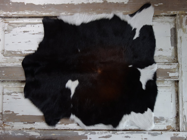 Pravá kůže z teletiny (3)