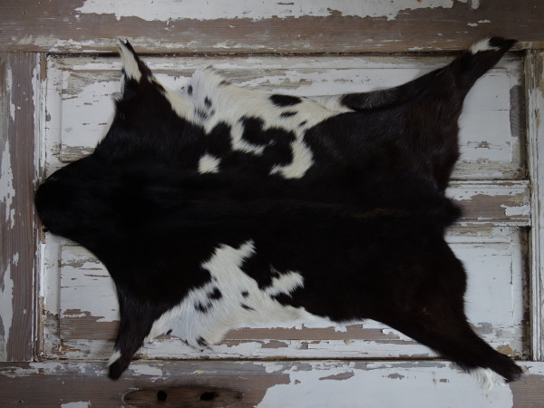 Kozí kůže ALPS (1)