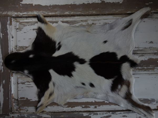 Kozí kůže ALPS (1)