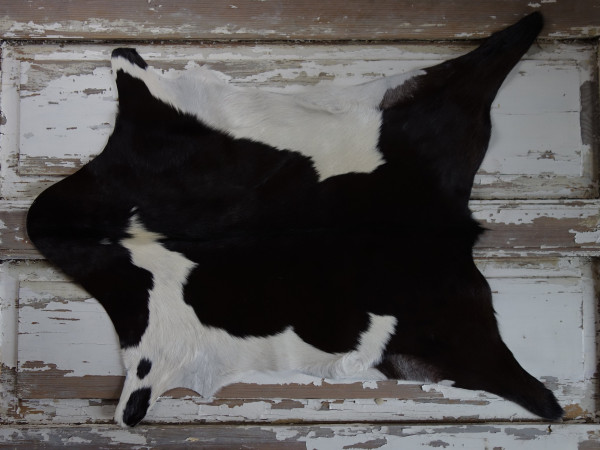 Kozí kůže ALPS (2)