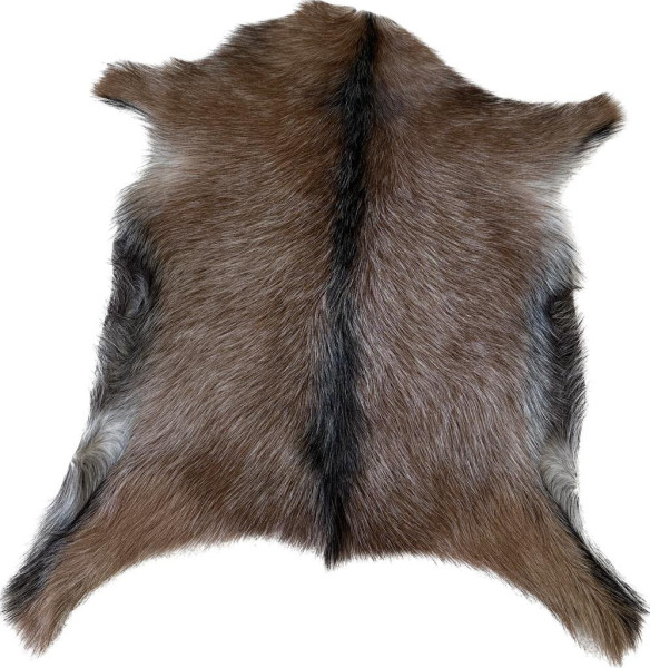 Kozinka ALPS 6080 (10)