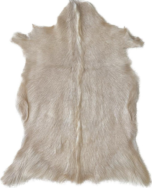 Kozinka ALPS 6080 (11)