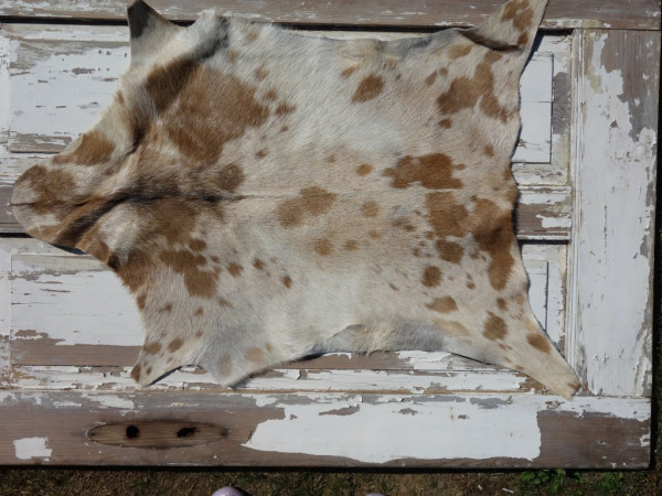 Kozí kůže ALPS 6072 (44)
