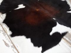 Pravá kůže z teletiny (2)