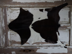 ARCTIC FUR Kozí kůže ALPS 6072 100% příroda