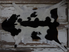 ARCTIC FUR Kozí kůže ALPS 6076 100% příroda