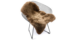 Icelandic lambskin, 90+, short hair, rusty brisa (4)