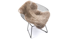 Islandská ovčí kůže (3)