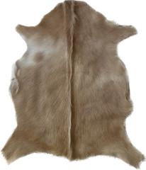 Kozinka ALPS 6080 (3)