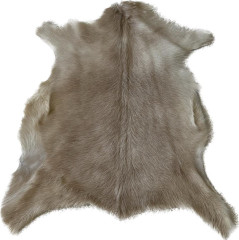 Kozinka ALPS 6080 (5)