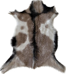 Kozinka ALPS 6080 (6)