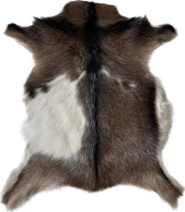 Kozinka ALPS 6080 (8)