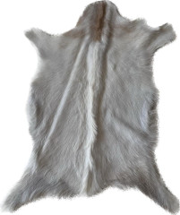 Kozinka ALPS 6080 (13)