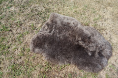 Ovčí dekorační předložka (3)