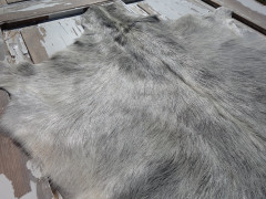 Kozí kůže ALPS 6088