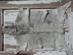 Kozí kůže ALPS 6088