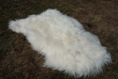 Velká islandská ovčí kůže XXLBIGGY bílá (3)