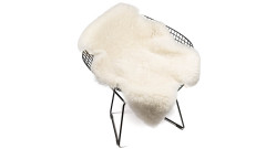 Icelandic lambskin, 90+, short hair, natural white (3)